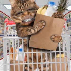 Meet your Posher, Nickie